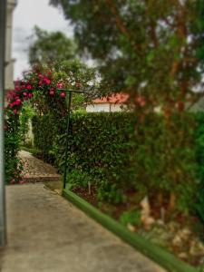 Apartments with parking space Supetarska Draga - Donja, Rab - 14169