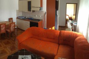 Apartments with a parking space Vir - 14213