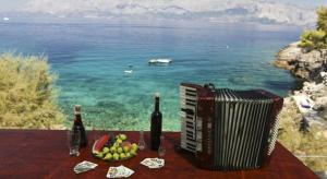 Seaside secluded apartments Cove Vele Gacice, Hvar - 14255