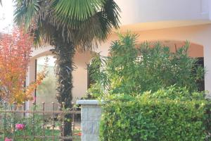 Apartments by the sea Novigrad - 14296