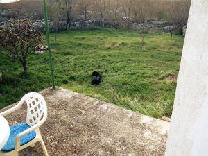 Holiday house with a parking space Unesic, Zagora - 14363