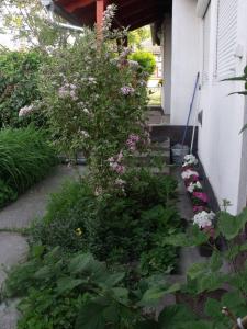 Kerékpáros és Zarándok Vendégház