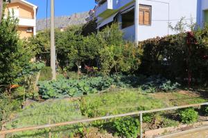 Apartments by the sea Sumpetar, Omis - 14450