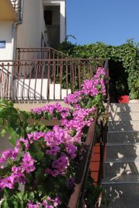 Apartments by the sea Grebastica, Sibenik - 14476