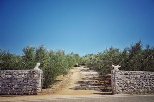 Secluded holiday house Povlja, Brac - 14500