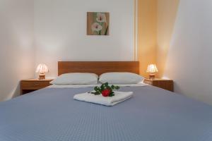 Seaside holiday house Bibinje, Zadar - 14510