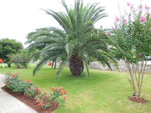 Apartment Zambratija 14557b