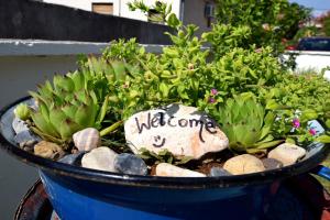 Holiday house with a parking space Seline, Paklenica - 16318