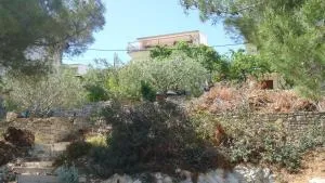 Apartments by the sea Cove Gornja Krusica, Solta - 16376 - Stomorska