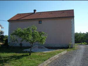 Apartments with a parking space Pridraga - Cuskijas, Novigrad - 16480 