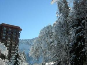 Studio fonctionnel au pied des pistes avec accès piscine - FR-1-267-182