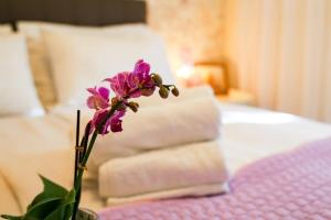 Family-friendly apartments with swimming pool Kali, Ugljan - 14116