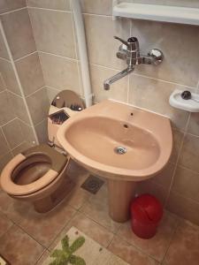 Apartments by the sea Povlja, Brac - 14399