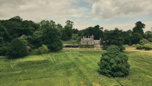 Wildhive Callow Hall