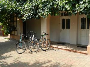 Nice apartment with free car parking, WiFi and bikes for free