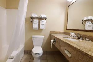 King Studio Suite - Non-Smoking room in Country Inn & Suites by Radisson Youngstown West OH