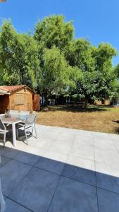 Maisons de vacances Villa 6 min Toulouse 130 m2 jardin 1000m2 arbres terrasses : photos des chambres