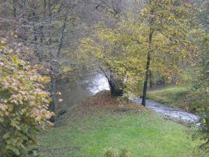 B&B / Chambres d'hotes Le Moulin Garnier : Chambre Familiale avec Douche - Langeais