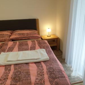 Apartmaji Pri Medvedu Studio Rudnica