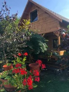 Domek pod Sumakiem - Kłodawa