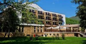Hotel Park Ivanjica - 伊万尼察