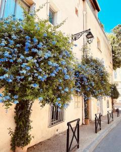 Appartements L'appart aux fleurs bleues : photos des chambres