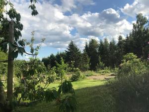 Bildsteins "Kathmandu"