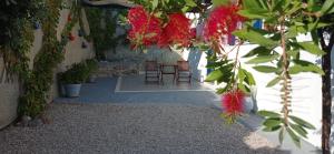 Katerina & Joanna Adamas Studio Milos