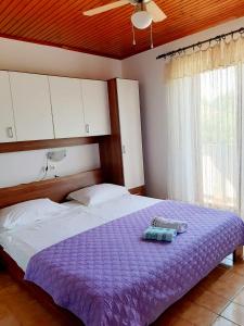 House Branka