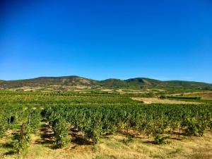 Maisons de vacances Gites Corbieres : photos des chambres