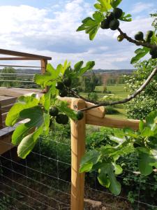 Maisons de vacances grande girondine aux portes du perigord : photos des chambres