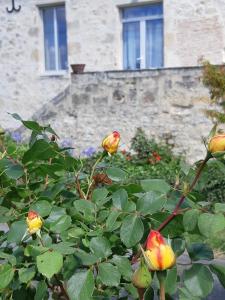 Maisons de vacances grande girondine aux portes du perigord : photos des chambres