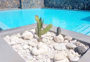 Eastern Blue - Sea View Luxury Apartment