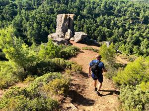 Maisons de vacances Gites Corbieres : photos des chambres