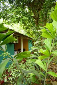 Palitha Homestay