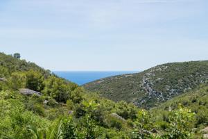 Rural house Pikola with sea view on Vis Island