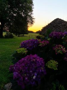 Maisons de vacances AU COEUR DE LA NATURE : photos des chambres