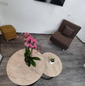 PETMEZA APARTMENT 1 Aigio City F