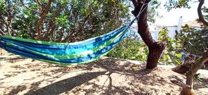 Spacious guesthouse with garden and seaview