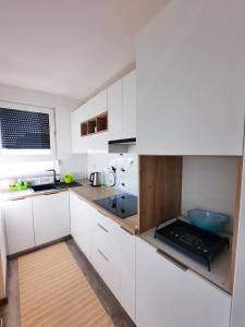 Apartment MRVICA near the Zagreb Airport 