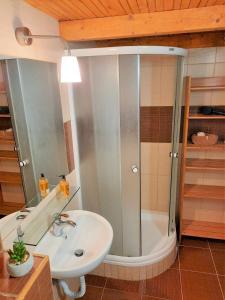 Velký apartmán Cihlarka