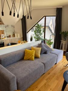 Sunny Sight Zlatibor