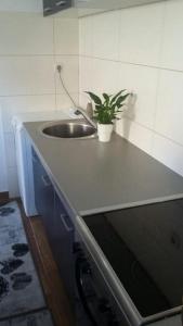 Seaside holiday house Trpanj, Peljesac - 16703