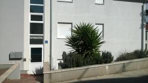 Apartments with parking space Okrug Gornji, Ciovo - 16676