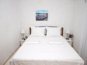 Apartments by the sea Vir - Kozjak, Vir - 16734