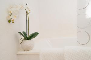 Apartments by the sea Necujam, Solta - 16727