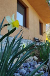 Apartments with a parking space Veljun, Karlovac - 16907 