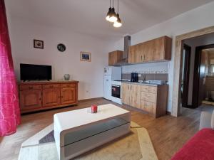 Apartments with a parking space Vodice 16944