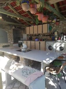 Apartments by the sea Gornji Karin, Novigrad - 16716 