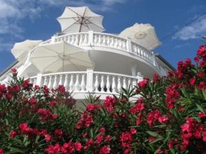 Apartments with parking space Barbat, Rab - 16816